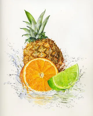 Pineapple, Orange and Lemon illustration by Rosie Sanders