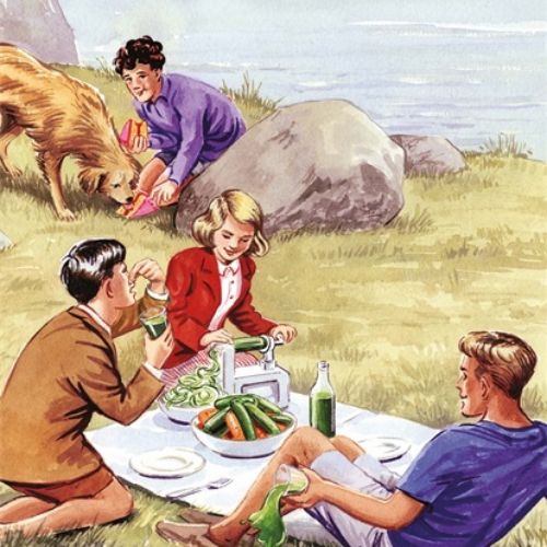 Book cover illustration of five go gluten free