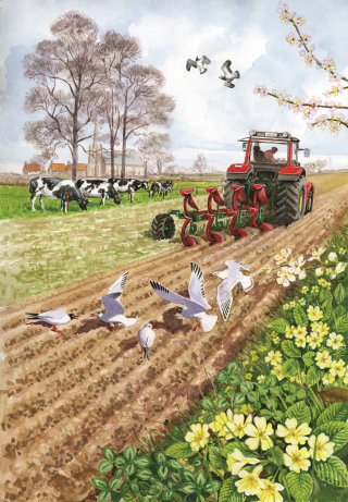 Ilustración agrícola para el libro Summer de Ladybird