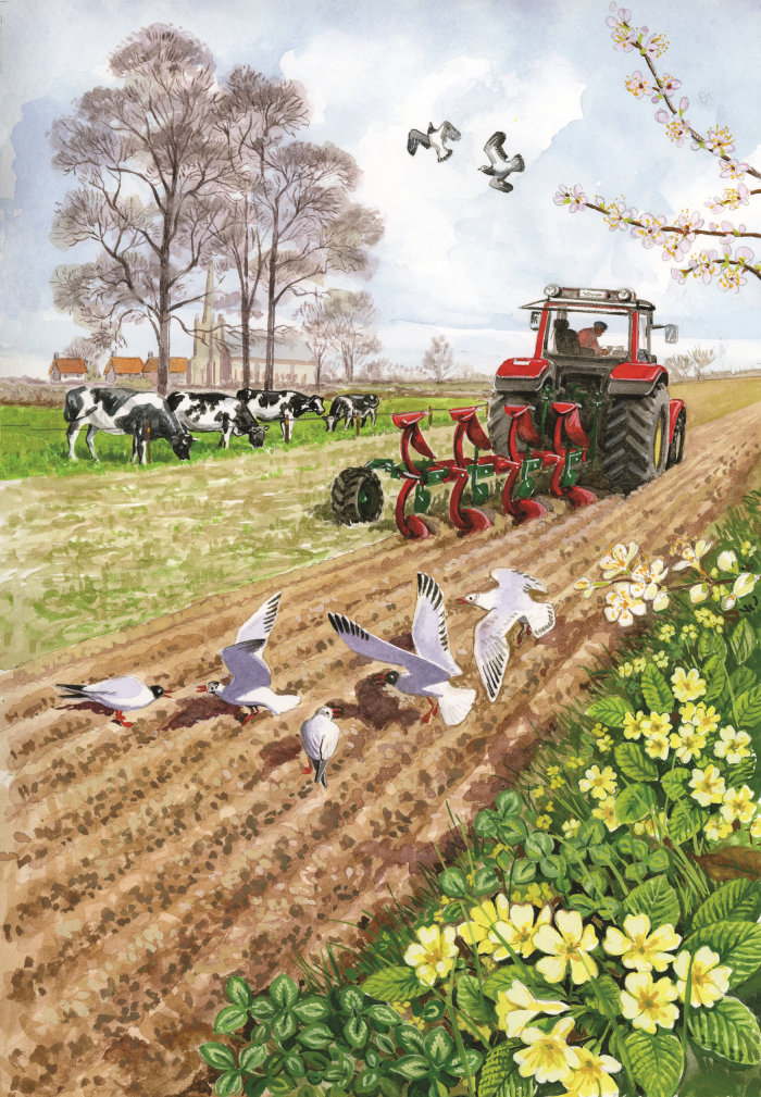 Ilustración agrícola para el libro de verano de Ladybird