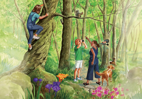 forest nature illustration by Ruth Palmer