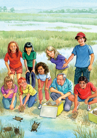 Ilustração da capa do livro Adventures of the Sizzling Six