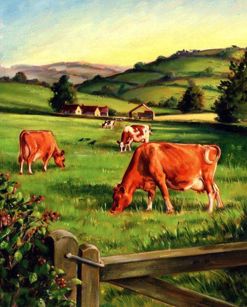 cows grazing in countryside
