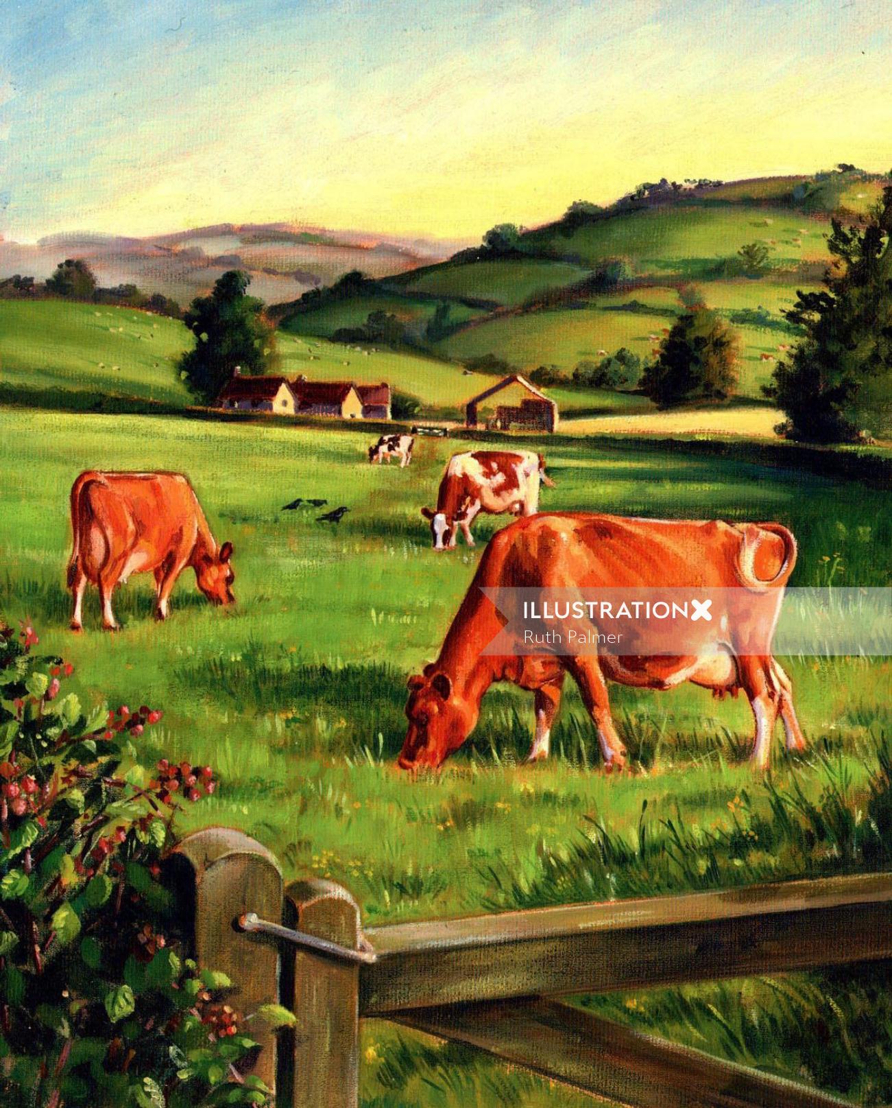 田舎で放牧している牛