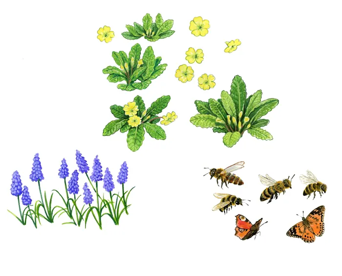 Yellow and purple wildflowers with bees and butterflies illustration by Ruth Palmer