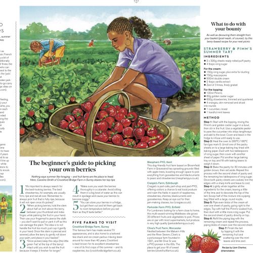 Girl picking strawberries in a green field under blue sky.