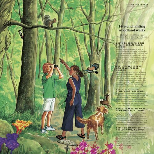 Ruth Palmer Traditional painterly illustrator. UK