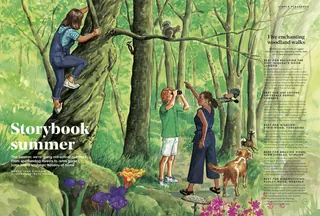 Children climbing trees and watching wildlife in a green forest