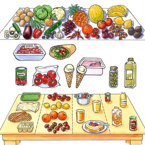 Different Food drawing
