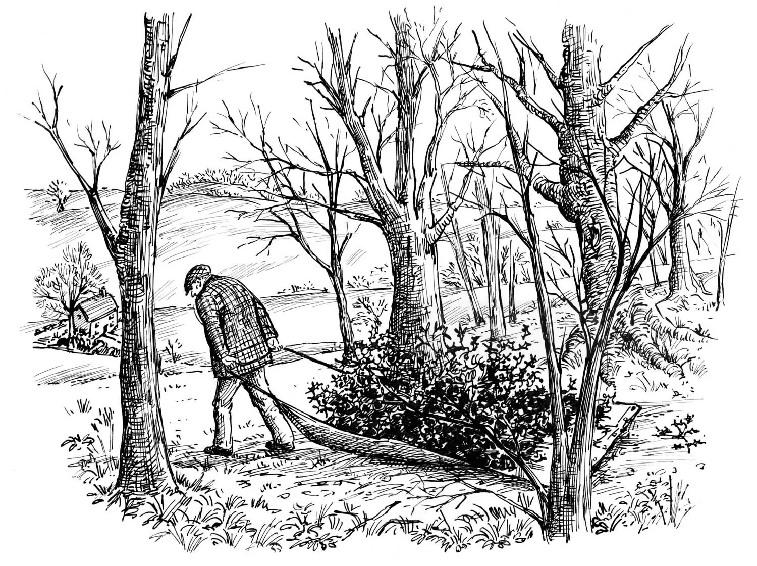 Illustration eines Mannes, der einen Ast durch einen Wald zieht, von Ruth Palmer