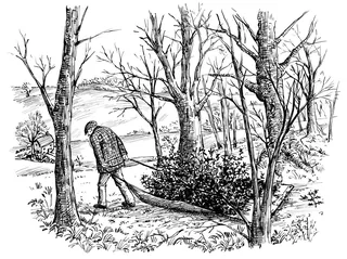 Illustration of a man dragging a tree branch in a forest by Ruth Palmer