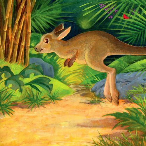 Animal illustration of Kangaroo