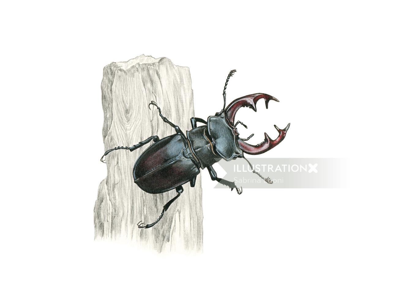 Fotorrealismo del insecto escarabajo ciervo