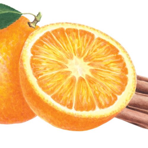 Abstract illustration of Orange and Cinnamon