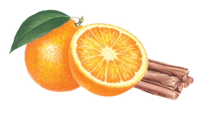 Ilustração abstrata de laranja e canela