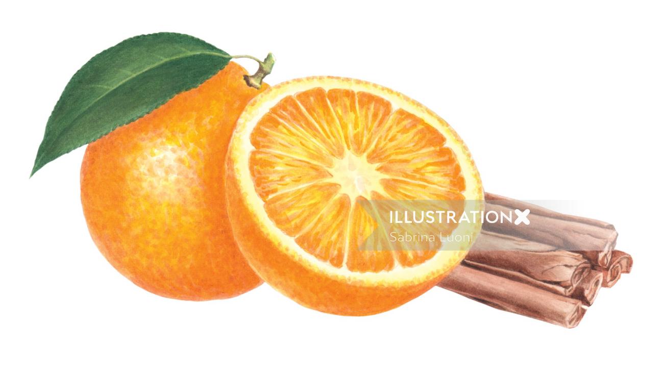 オレンジとシナモンの抽象的なイラスト