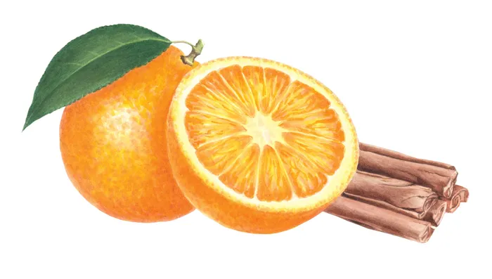 Abstract illustration of Orange and Cinnamon