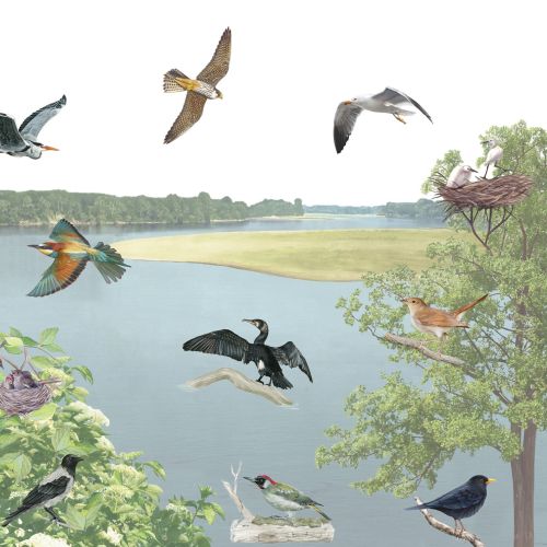 A photomontage of birds flying on a river