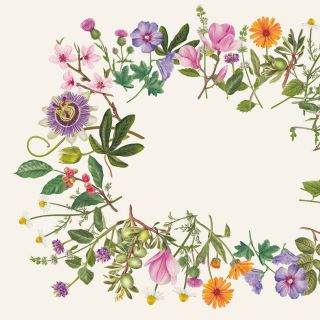 Sabrina Luoni - Italy based illustrator
