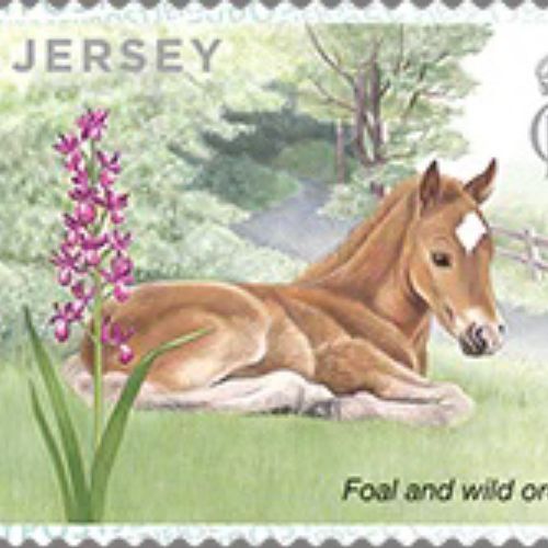 Stamp design for Jersey Post by Sabrina Luoni
