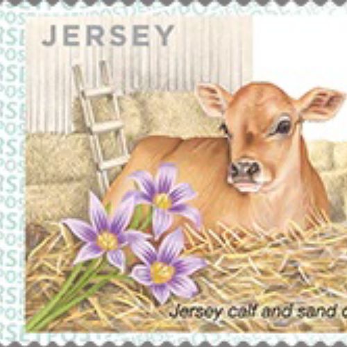 Jersey's Local Large up to 100g stamp