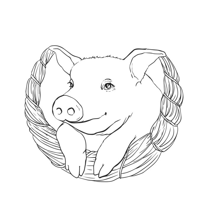 猪的细线肖像