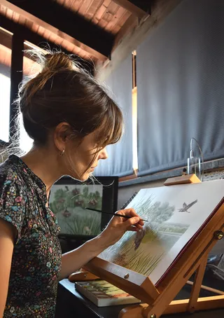 Sabrina's live illustrating photograph