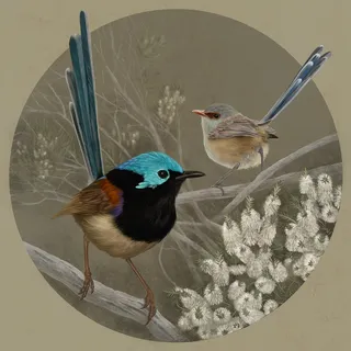 Painting of an Purple-backed Fairywren