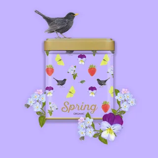 Sabrina Luoni’s Spring Organic box design