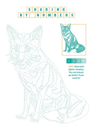 Fox outline with numbered shading guide for coloring