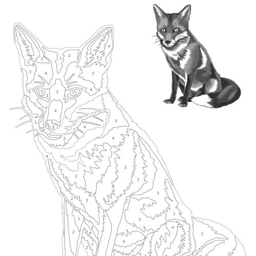 Black and white fox illustration for shading by numbers