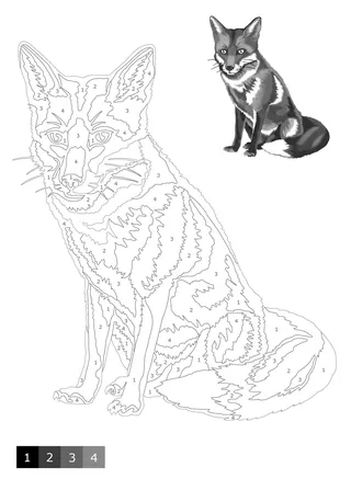 Black and white fox illustration for shading by numbers