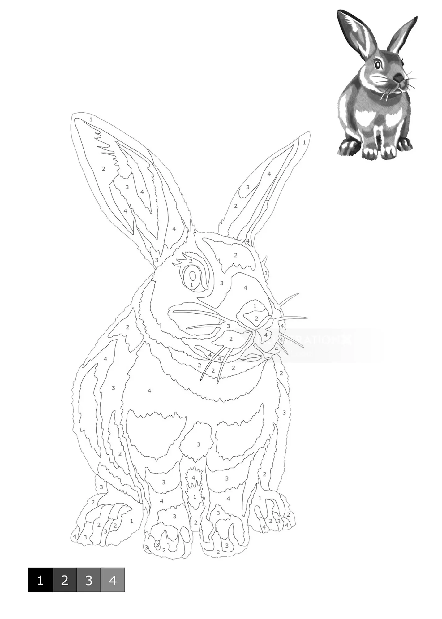 Black and white bunny shading by numbers illustration