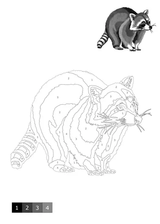 Black and white raccoon illustration for shading by numbers