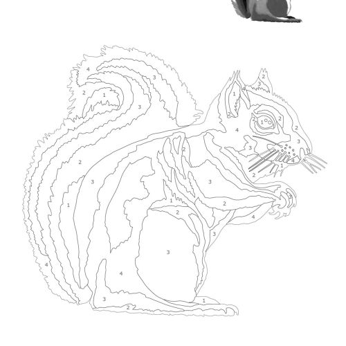 Black and white numbered shading illustration of a squirrel