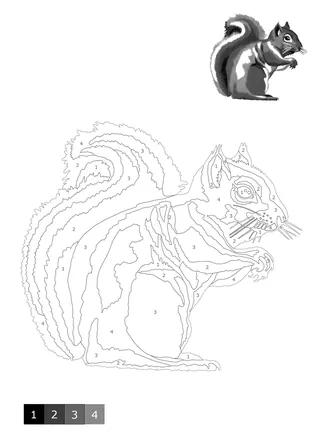 Black and white numbered shading illustration of a squirrel