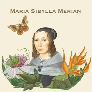 Maria Sibylla Merian