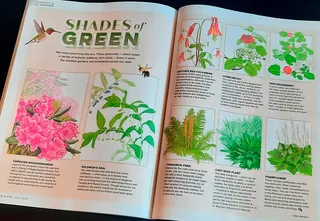 Illustrated magazine pages showing various green plants and flowers