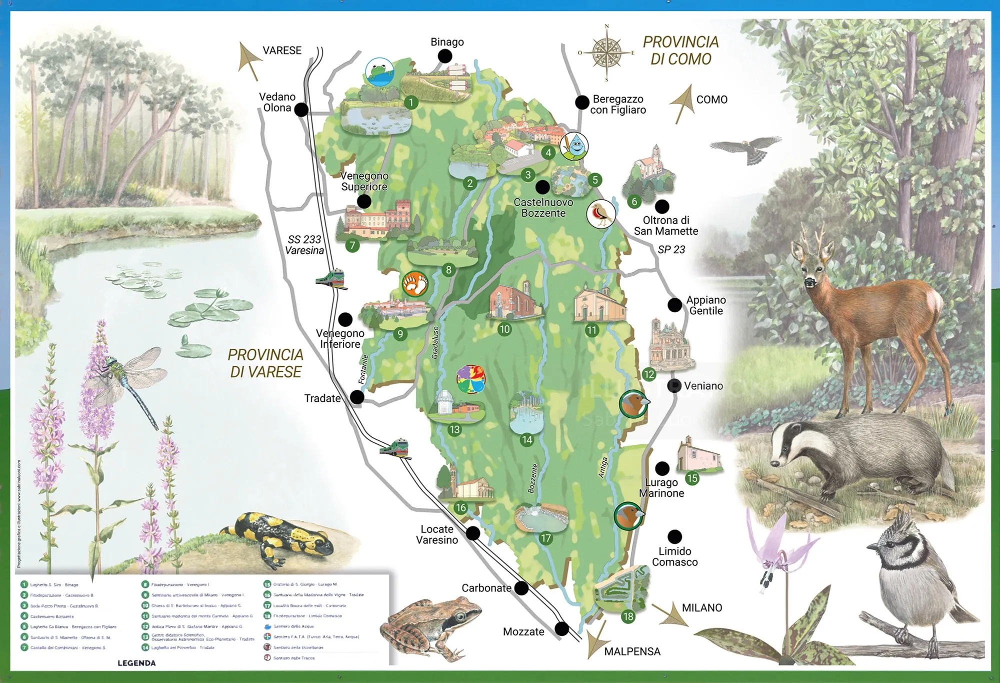 Illustrated nature map with animals and plants from Parco Pineta di Appiano Gentile