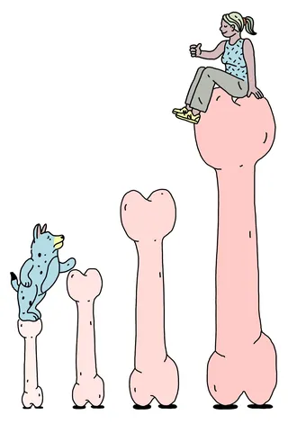 Illustration of a dog climbing a stack of large pink bones by Samantha Silverman