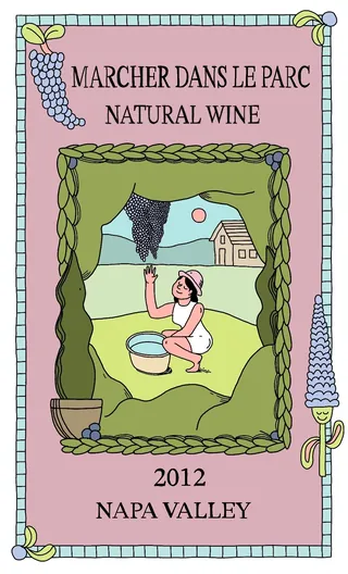 Illustration of person harvesting grapes for natural wine in vineyard