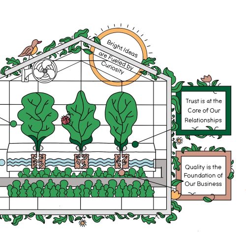 Illustration of greenhouse with growing plants and company value signs