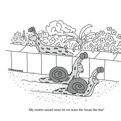 Cartoon of two snails talking outdoors with garden plants, by Samantha Silverman