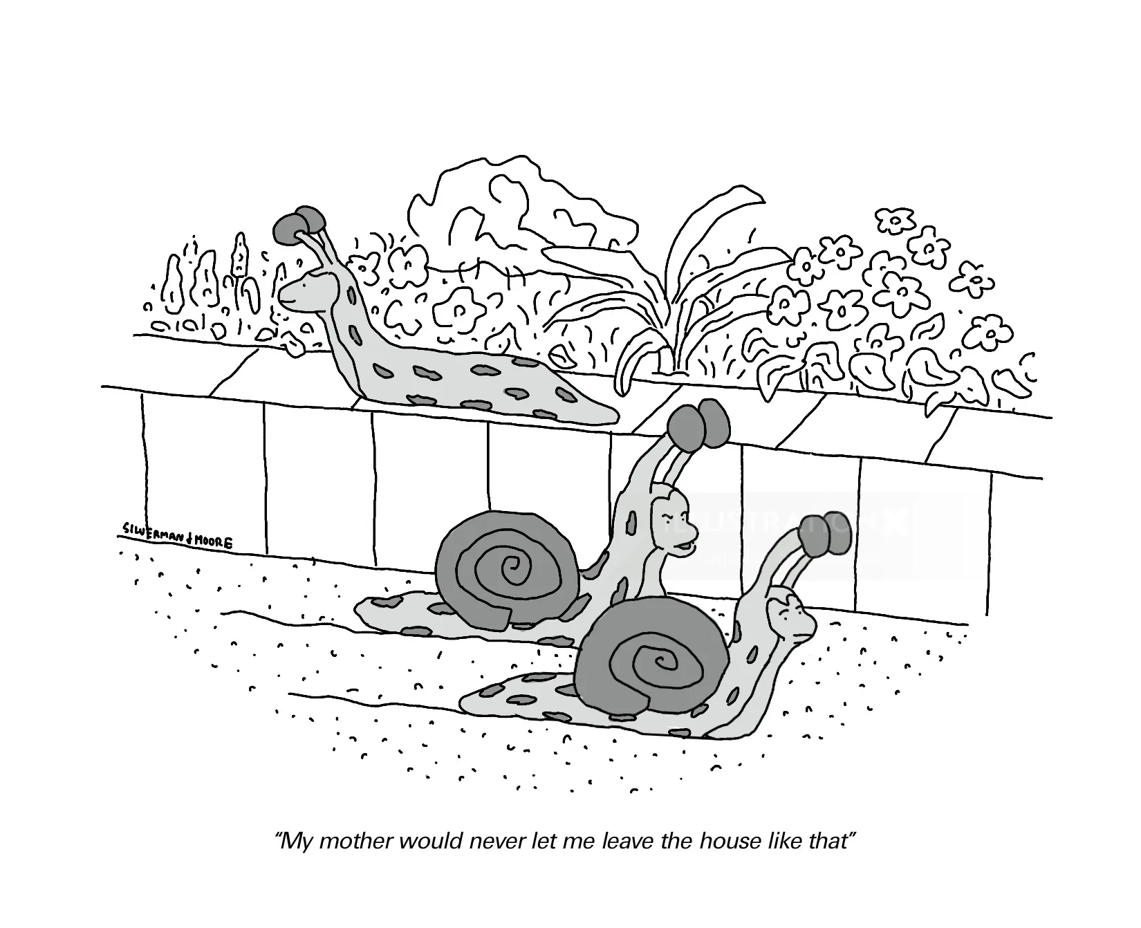 Cartoon of two snails talking outdoors with garden plants, by Samantha Silverman