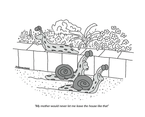 Cartoon of two snails talking outdoors with garden plants, by Samantha Silverman