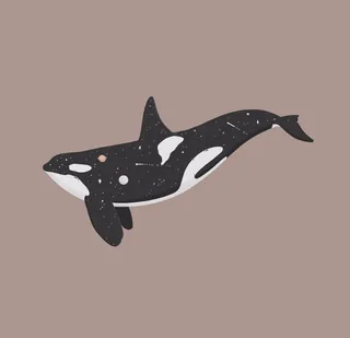 Orca whale illustration with starry pattern by Samy Löwe