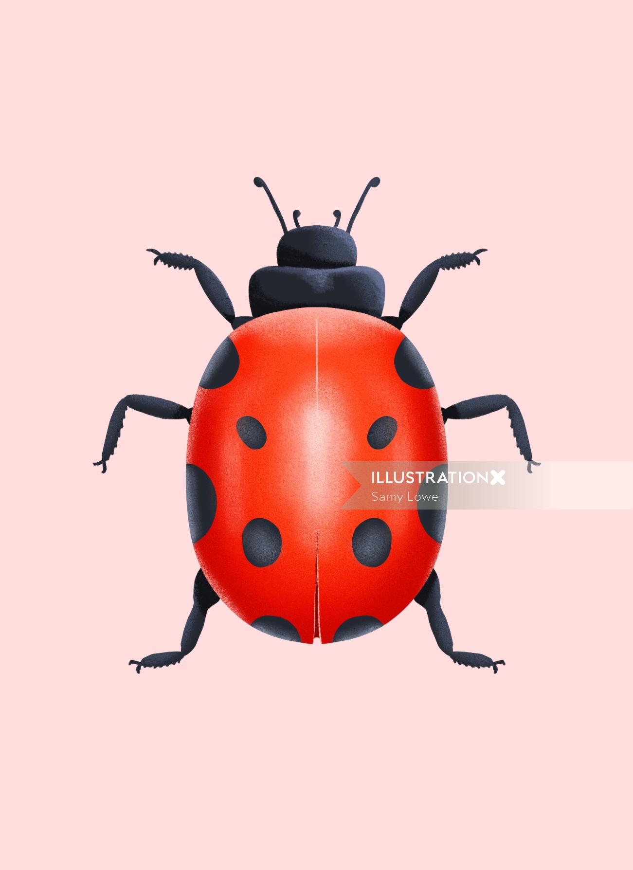 Graphic red black bug