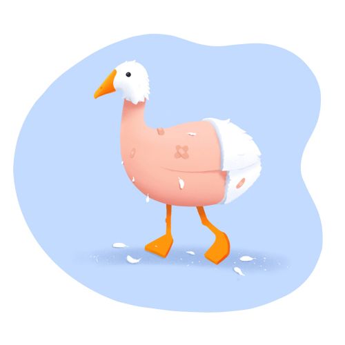Animals duck with out feathers