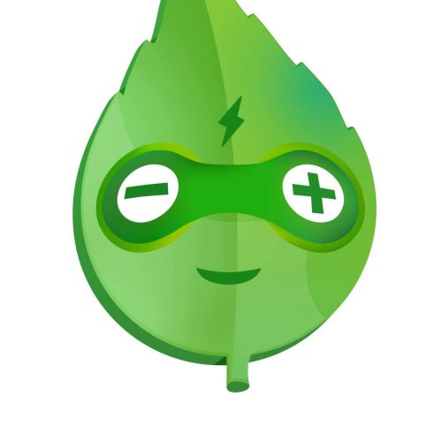 Green leaf with plus and minus symbol mask illustration by Samy Löwe