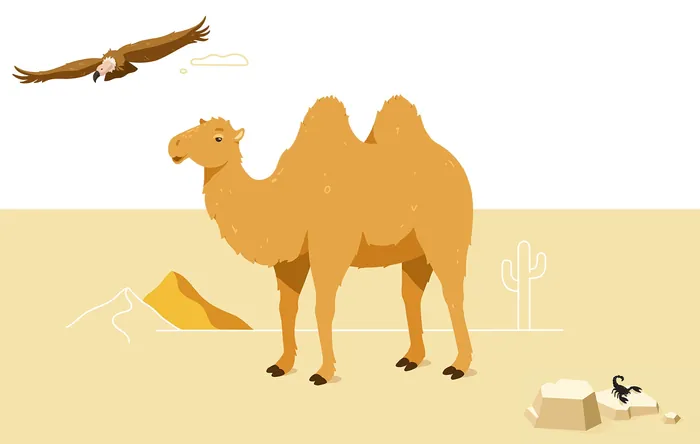 Camel standing in desert with eagle flying overhead and scorpion on ground